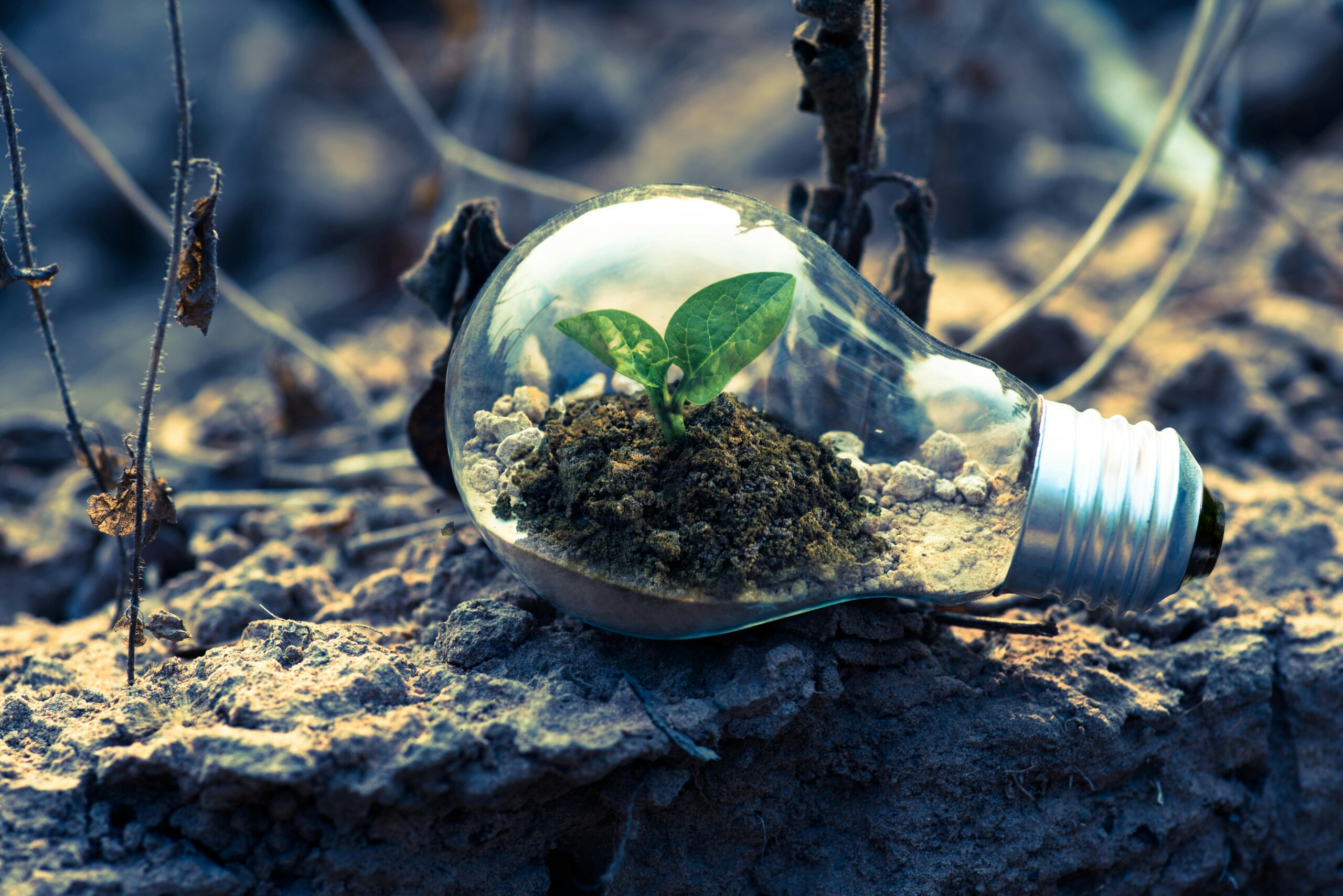 Efficienza energetica aziendale: 4 strategie per ottenerla