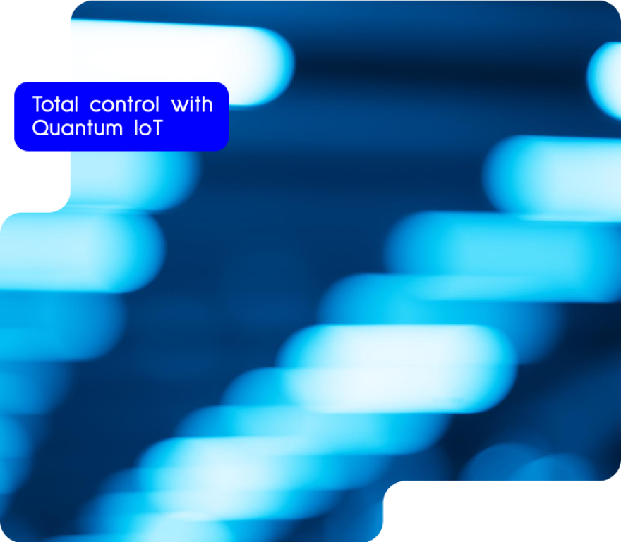 https://www.quantumesco.it/wp-content/uploads/2025/07/iot-en.png