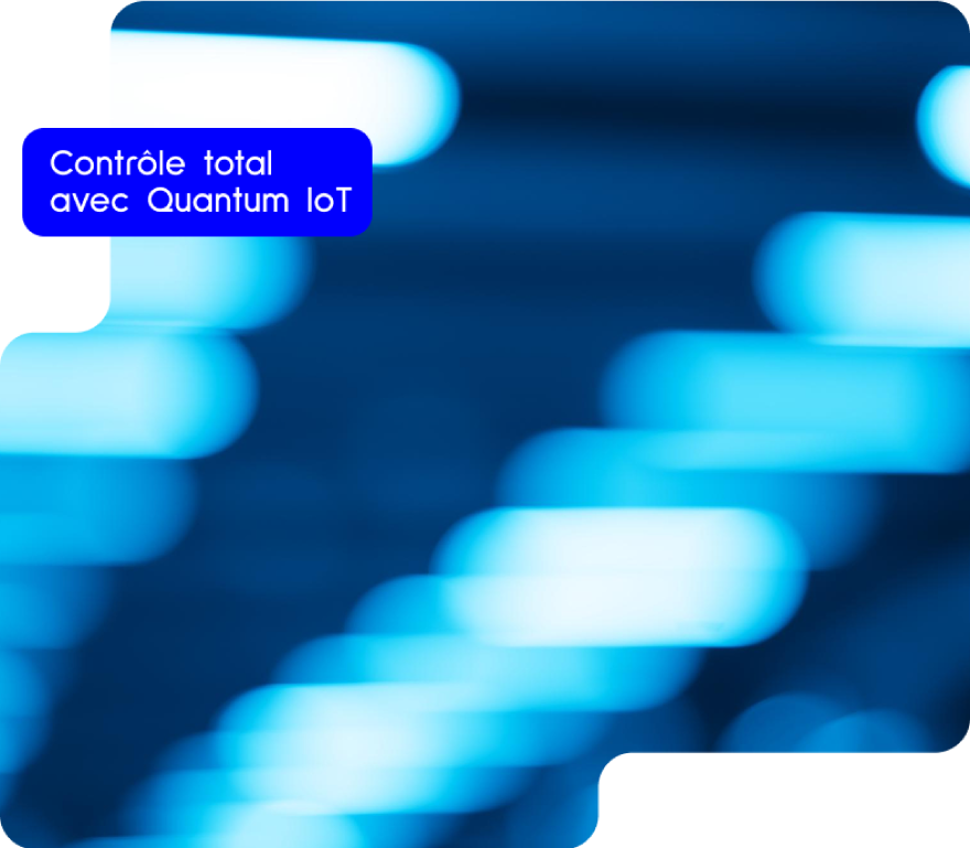 https://www.quantumesco.it/wp-content/uploads/2025/07/iot-fr.png